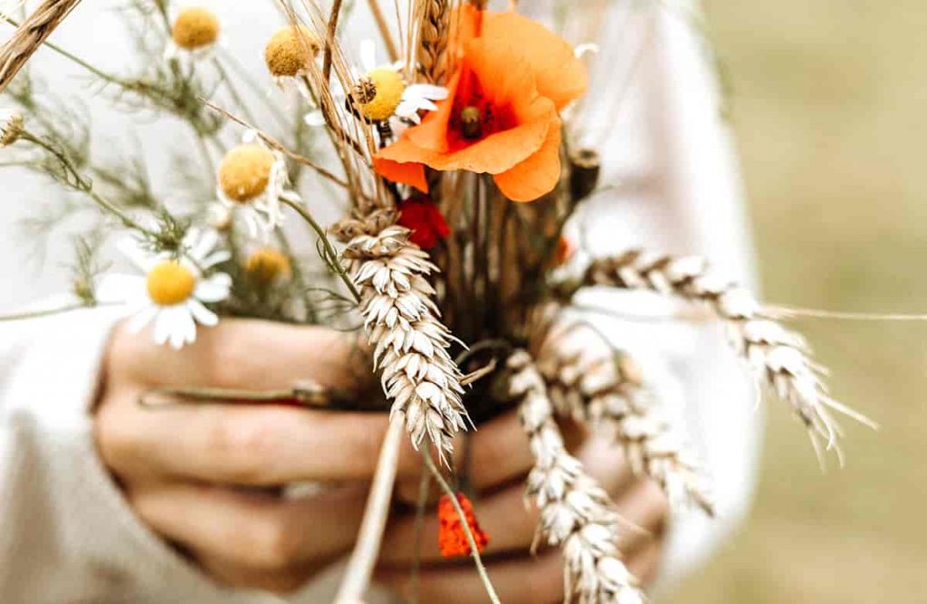 Ramo de flores silvestres para regalar un día especial